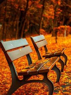 你真棒插曲快来救救我在线观看官方版_你真棒插曲快来救救我在线观看最新版_封面